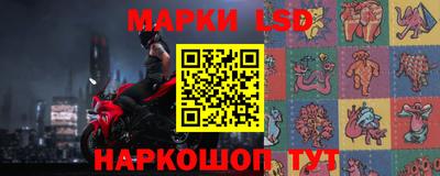 spice Гатчина