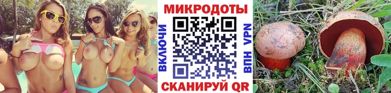 Галлюциногенные грибы GOLDEN TEACHER Саратов