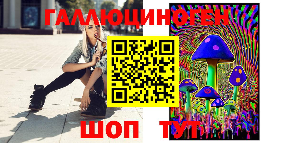 Псилоцибиновые грибы GOLDEN TEACHER  Саратов  Псилоцибиновые грибы прущие грибы 